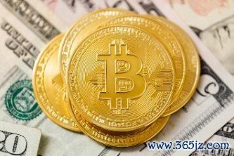 国际网络交易平台有哪些 虚拟货币钱包APP排行榜