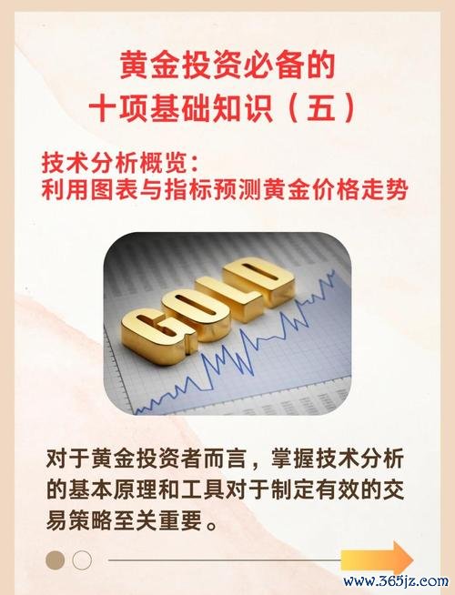 imToken官网提供的市场分析和图表工具,帮助用户更好地判断市场趋势。_市场图表分析_市场图是什么意思